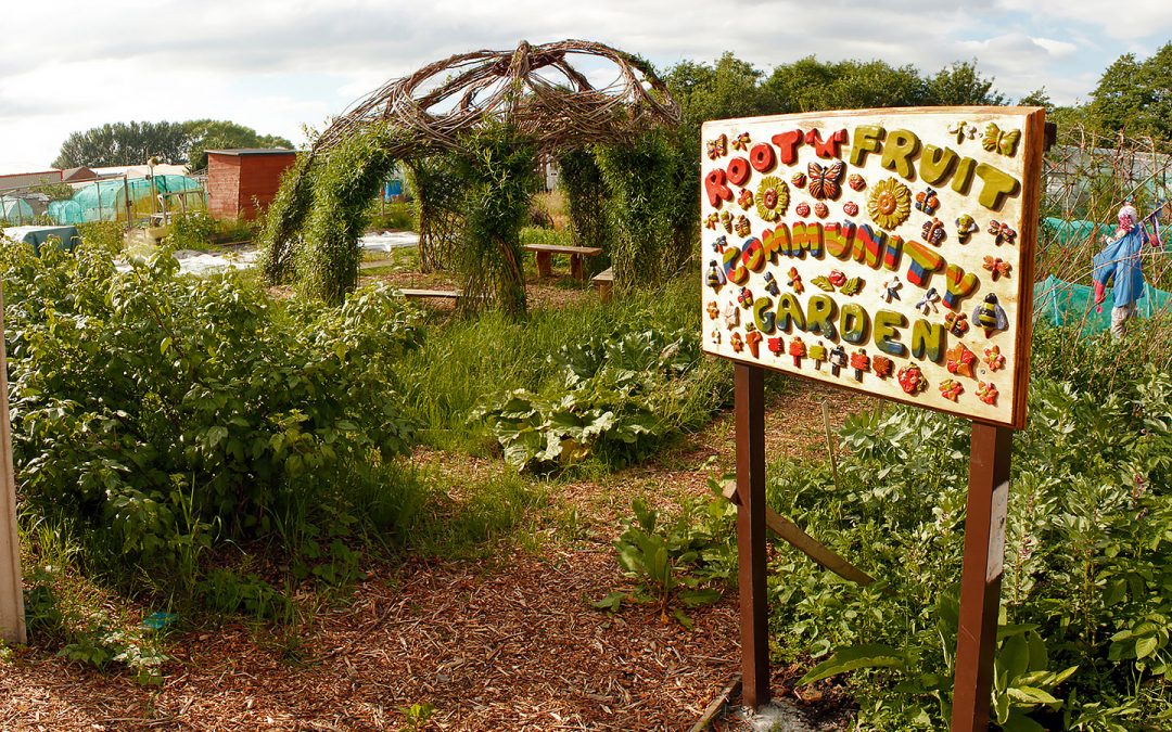 Root n fruit Community garden